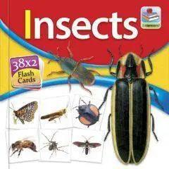 Flash Card Insects small The Stationers